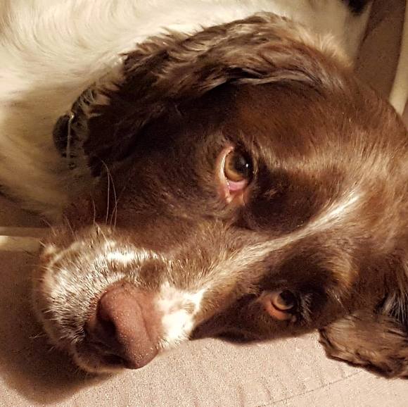 Meet your Posher, Cathleen - Picture 1 of 1